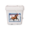 Recovery EQ Powder-Joint Support For Horses - 200 Days)