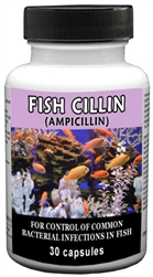 Fish Cillin (Ampicillin) 250mg, 30 Capsules