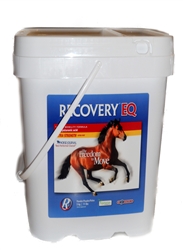 Recovery EQ With Hyaluronic Acid For Horses