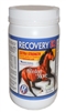 Recovery EQ with Hyaluronic Acid, 2.2 lbs (1 Kg)