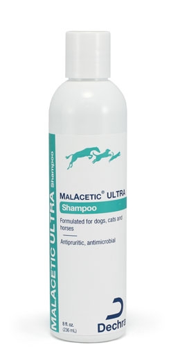 Malacetic shampoo cheap for dogs