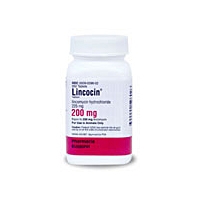 Lincocin 100mg, 500 Tablets