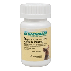 Clomicalm l Separation Anxiety Treatment For Dogs