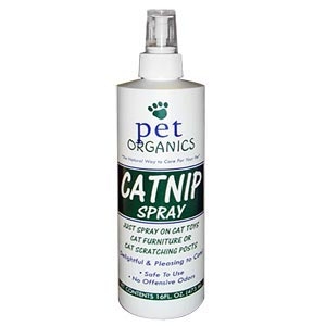 Pet Organics Catnip Spray