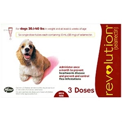 Revolution For Dogs 21-40 lbs, 3 Doses