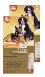 Advantage Multi For Dogs 88-110 lbs, 12 Pack