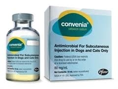 Convenia Injection l Antibiotic For Skin Infections