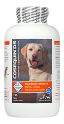 Cosequin DS Plus MSM Joint Health Supplement For Dogs, 250 Chewable Tablets