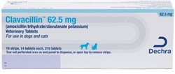 Amoxi-Clav (generic Clavamox) 62.5mg Tablet