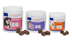 Movoflex Joint supplement Soft Chews For Dogs – Mahogany Veterinary Clinic