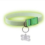 FurEver Brite Safety Collar For Dogs, Small