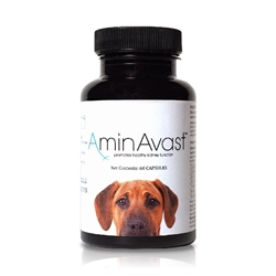 AminAvast Kidney Support For Dogs, 60 Capsules