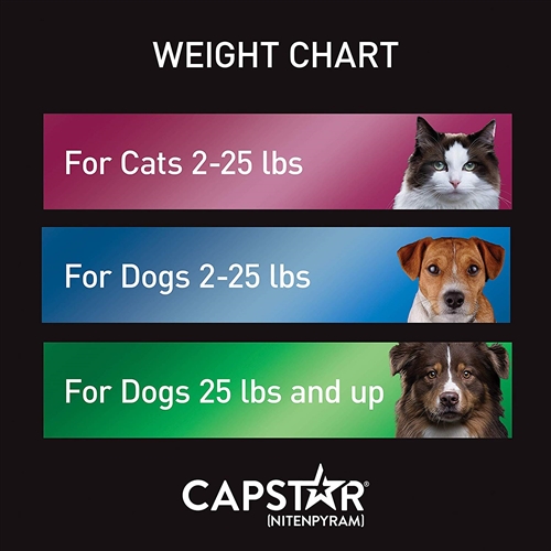 Capstar dosage shop for cats