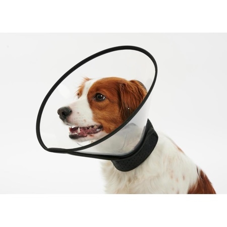 Buster Complete Elizabethan Collar For Small Medium Breeds 12.5cm