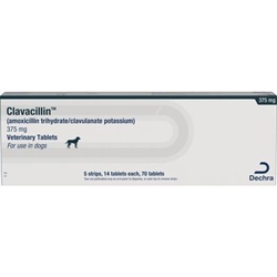 Dechra (Amoxicillin Trihydrate and Clavulanate Potassium) Tablets  375mg, 70 Tablets