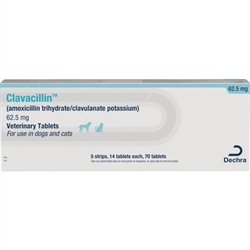 Dechra (Amoxicillin Trihydrate and Clavulanate Potassium) Tablets  62.5mg, 70 Tablets