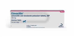 Clavacillin (Amoxicillin Trihydrate/Clavulanate Potassium)  250mg, 70 Tablets
