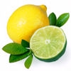 4oz. bottle of Citrus Basil fragrance oil for candles. Synthetic Carrier.  1/2 oz -1 oz. per pound of wax.