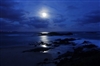 4 oz. bottle of  "Heavenly" Moonlight  Path fragrance oil for candles. Synthetic Carrier. 1/2 oz-1 oz. per pound of wax.