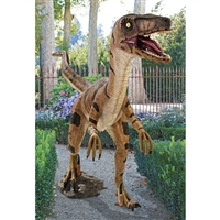 velociraptor jurassic sized dinosaur