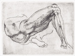 After Michelangelo Study of Legs for a Reclining Figure