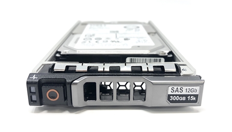 400-AGSX Dell 300GB