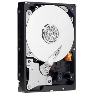 Seagate ST3300655LW