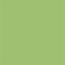 TPR 2030 AGN - Satin Wrap Tissue Paper - Apple Green - 20" x 30", 480 Sheets Per Ream