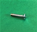 Chrome Plated Oval Head Slotted Screw - For Sunvisor - DIN 7973 - 3.9 x 19