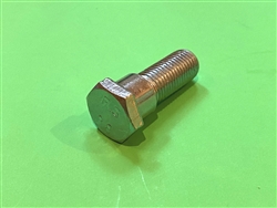 Seat Belt Mounting Bolt