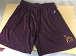 Ladies PE Shorts