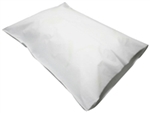 DP1220 - Jail Bedding Disposable Pillow