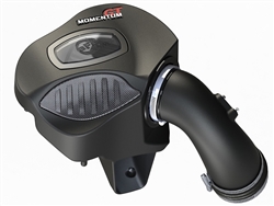 AFE Momentum GT Pro DRY S Cold Air Intake System