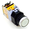 YC-P22PMA-IFW-2 ILLUMINATED PUSH BUTTON