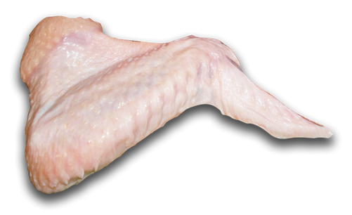 TURKEY WING