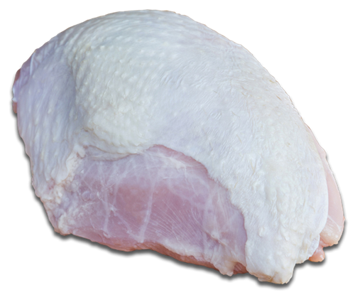 TURKEY BREAST NO WING