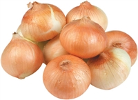 SPANISH ONIONS