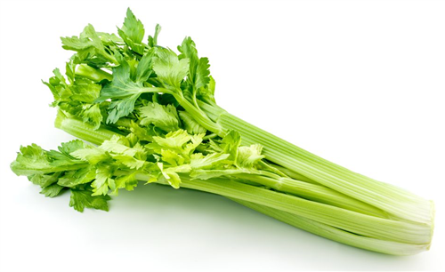 CELERY STALK