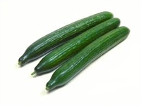 CUCUMBER