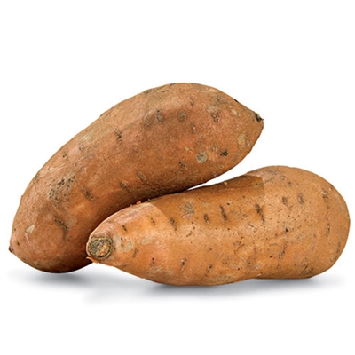 FRESH SWEET POTATO