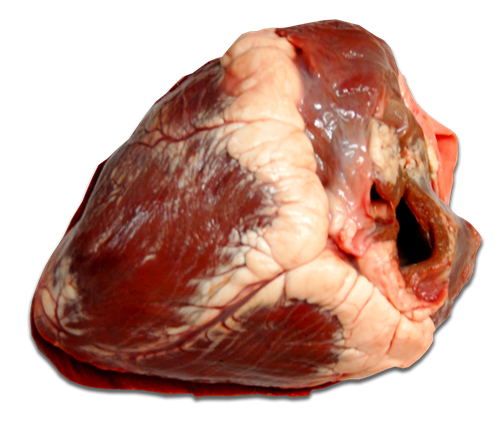 Kosher Beef Heart