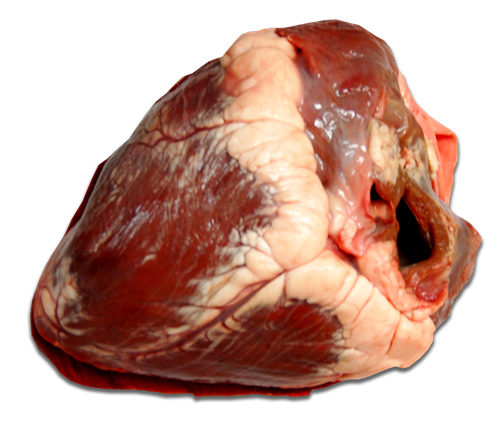 Kosher Beef Heart