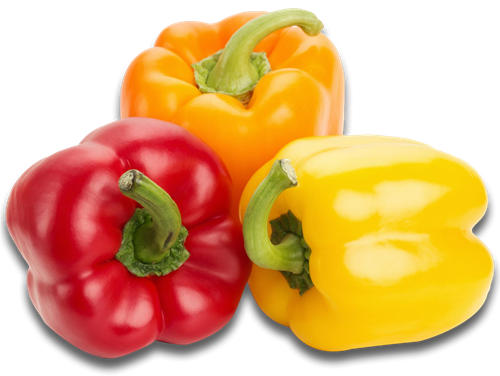 Fresh Rainbow Peppers