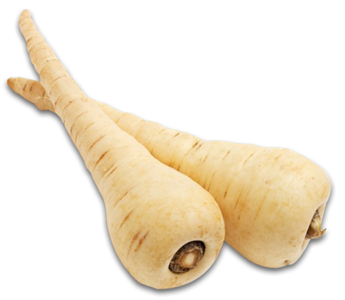 Fresh Parsnips