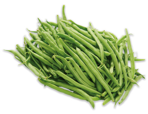 Fresh Green Beans