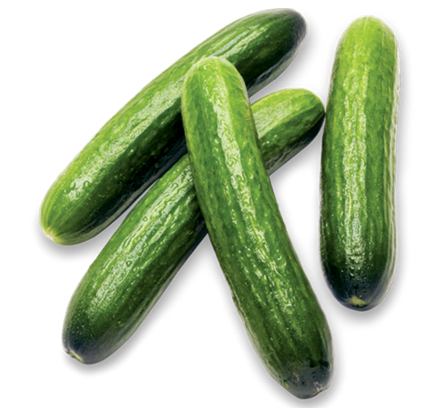 Fresh Mini Cucumbers