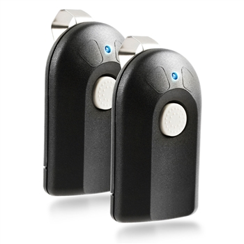 2 for Genie Garage Door Remote Intellicode ACSCTG Type 3
