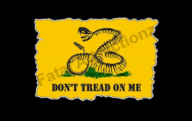 Don't Tread on Me Flag Rattlesnake Skeleton