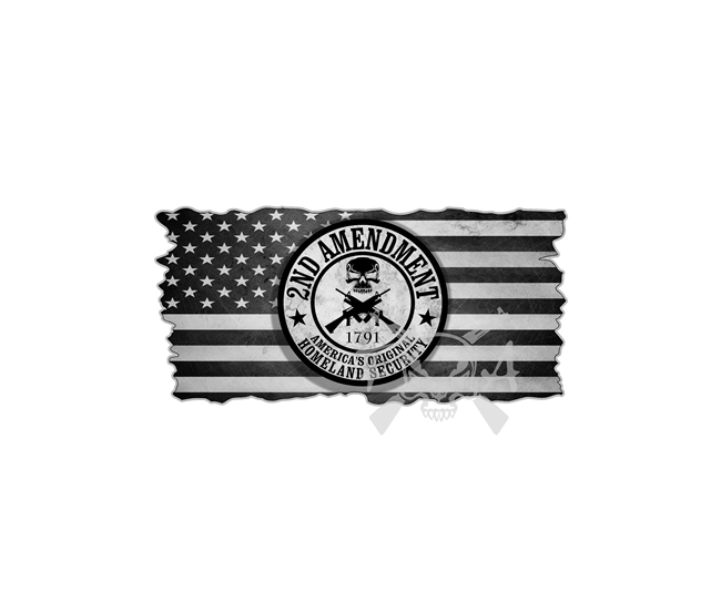 Homeland Security 2nd Amendment American Flag