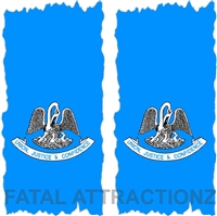 Louisisana Flag Cornhole Cover